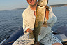 Саратовец наловил на набережной Волги полный садок рыбы