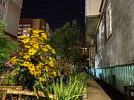 В Саратовской области похолодает до плюс 5 градусов 
